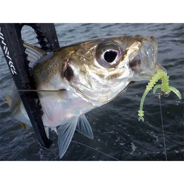 月下美人　ブレーキンビーム　１．３インチ